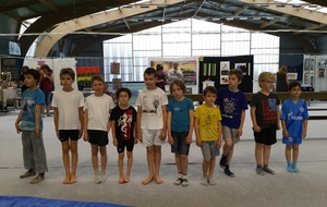 Les participants en gymnastique artistique masculine