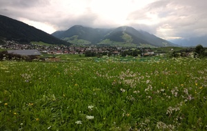 La prairie à Gotzens