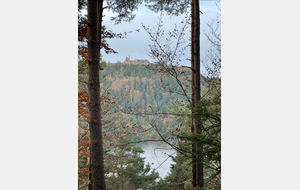 MN - Montée du Mont Sainte Odile - LOISIR
